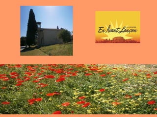 Belles vues de Lançon de Provence