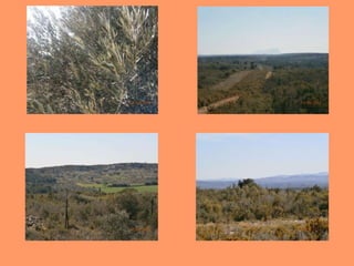 Belles vues de Lançon de Provence