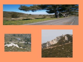 Belles vues de Lançon de Provence