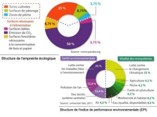 Des cartes pour comprendre le monde
