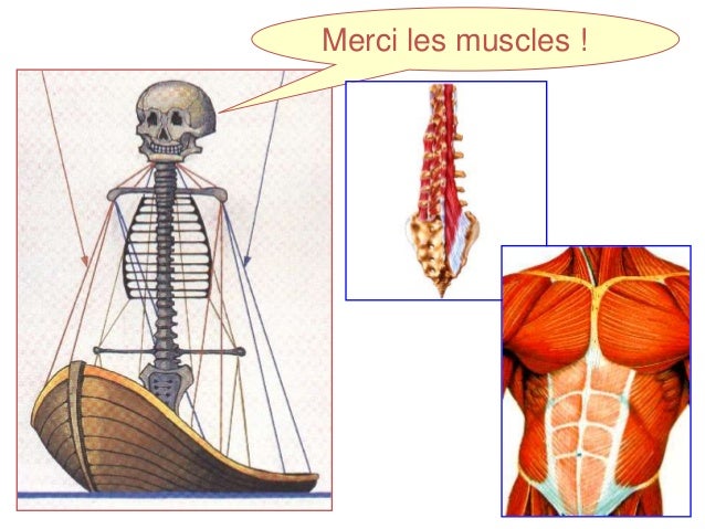 La douleur sous une gauche omoplate par derrière du dos