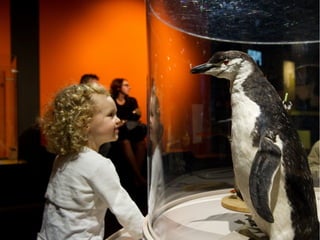 Diaporama Exposition itinérante Bébés animaux