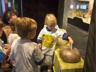 Diaporama Exposition itinérante Bébés animaux