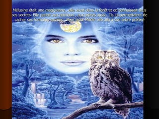 Mélusine était une magicienne , elle vivait dans la forêt et en connaissait tous ses secrets. Elle parlait aux animaux , aux arbres aussi . Ils lui permettaient de cacher ses formules sacrées.  Pour aider Merlin elle alla à son arbre préféré 