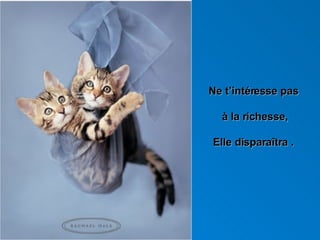 Ne t’intéresse pas  à la richesse, Elle disparaîtra .  