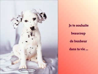 Je te souhaite beaucoup  de bonheur  dans ta vie ... 