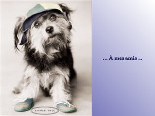 …  À mes amis ...  