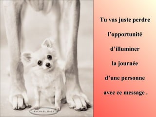 Tu vas juste perdre  l’opportunité  d’illuminer  la journée  d’une personne  avec ce message . 