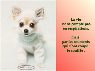 La vie ne se compte pas en respirations, mais  par les moments qui t’ont coupé  le souffle . 