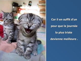Car il en suffit d’un   pour que la journée la plus triste  devienne meilleure . 