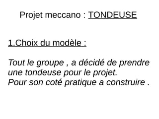Projet meccano : TONDEUSE
1.Choix du modèle :
Tout le groupe , a décidé de prendre
une tondeuse pour le projet.
Pour son coté pratique a construire .
 
