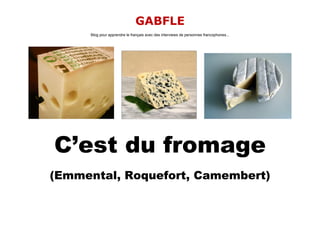 GABFLE
     Blog pour apprendre le français avec des interviews de personnes francophones...




C’est du fromage
(Emmental, Roquefort, Camembert)
 
