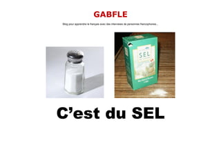 GABFLE
Blog pour apprendre le français avec des interviews de personnes francophones...




C’est du SEL
 