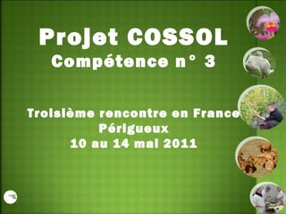 Projet COSSOL Compétence n° 3 Troisième rencontre en France Périgueux 10 au 14 mai 2011 