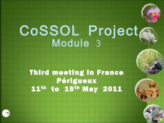 CoSSOL Project Module 3 Third meeting in France Périgueux 11 th to  15 th May  2011 