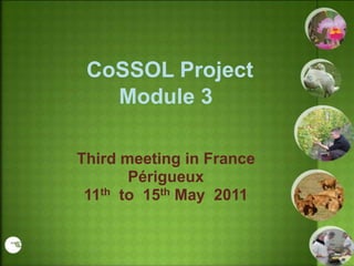 CoSSOL Project
   Module 3

Third meeting in France
       Périgueux
 11th to 15th May 2011
 