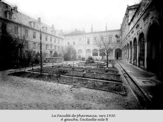 La Faculté de pharmacie, vers 1930.  A gauche, l’actuelle aile B 