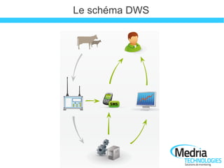 Le schéma DWS
 