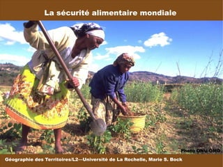La sécurité alimentaire mondiale Géographie des Territoires/L2—Université de La Rochelle, Marie S. Bock Photo ONU/OMD 