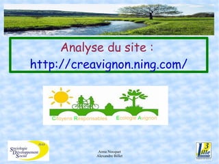 Analyse du site :  http://creavignon.ning.com/ 