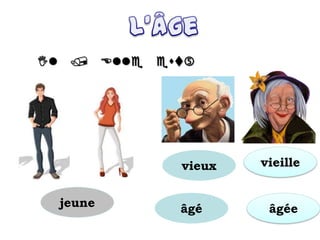jeune

vieille
âgéeâgé
vieux
 