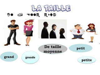petit
grande

petite
grand
De taille
moyenne
 