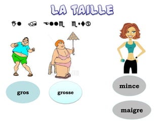 grosse

gros
mince
maigre
 