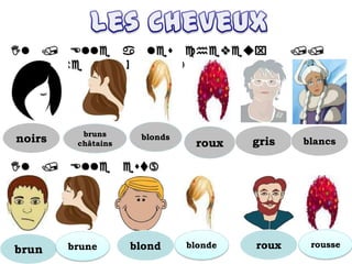 bruns
châtains
achvx
chvx
noirs blonds
roux gris blancs

brun brune blond blonde roux rousse
 