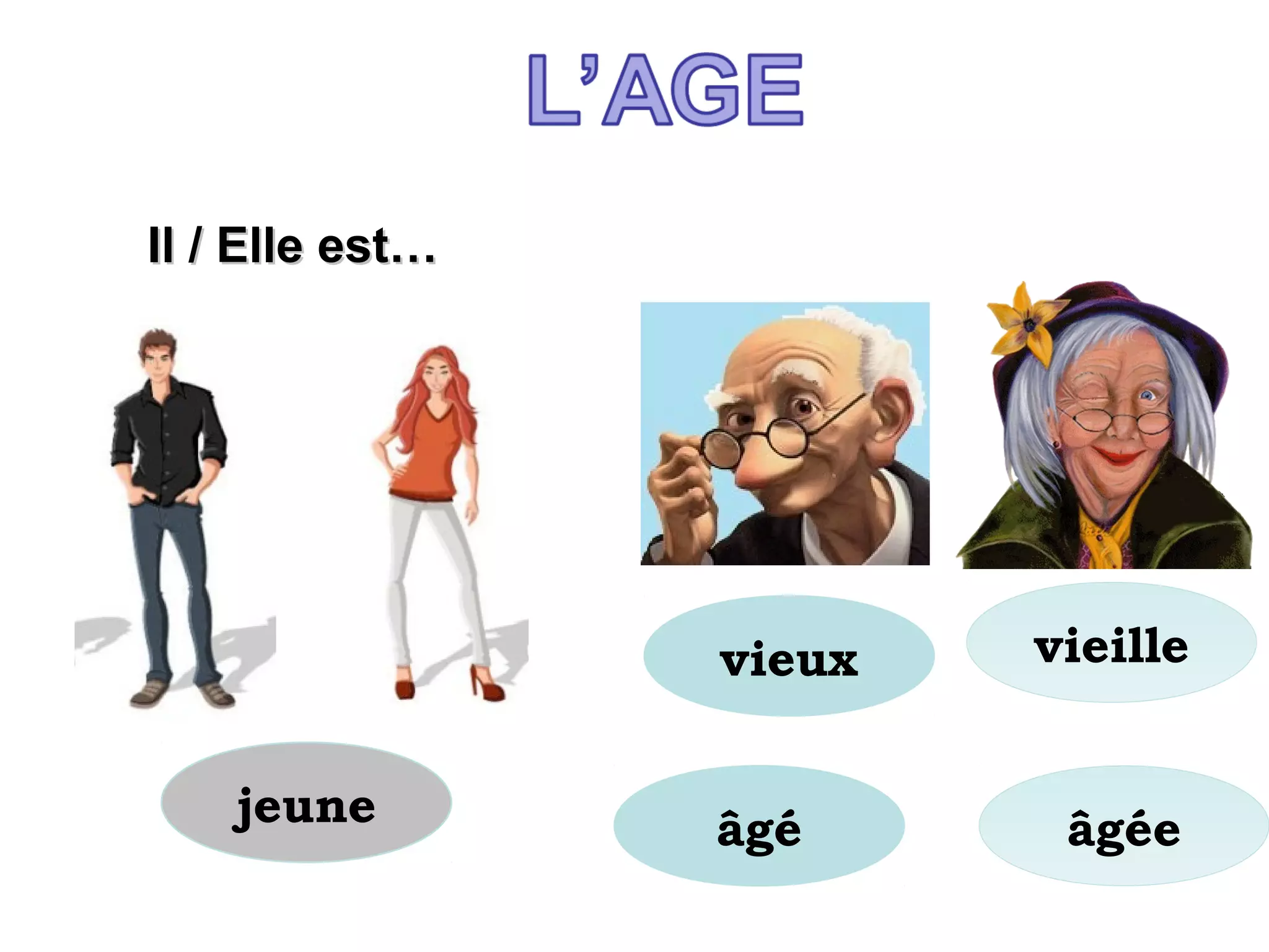 jeune
Il / Elle est…Il / Elle est…
vieille
âgéeâgé
vieux