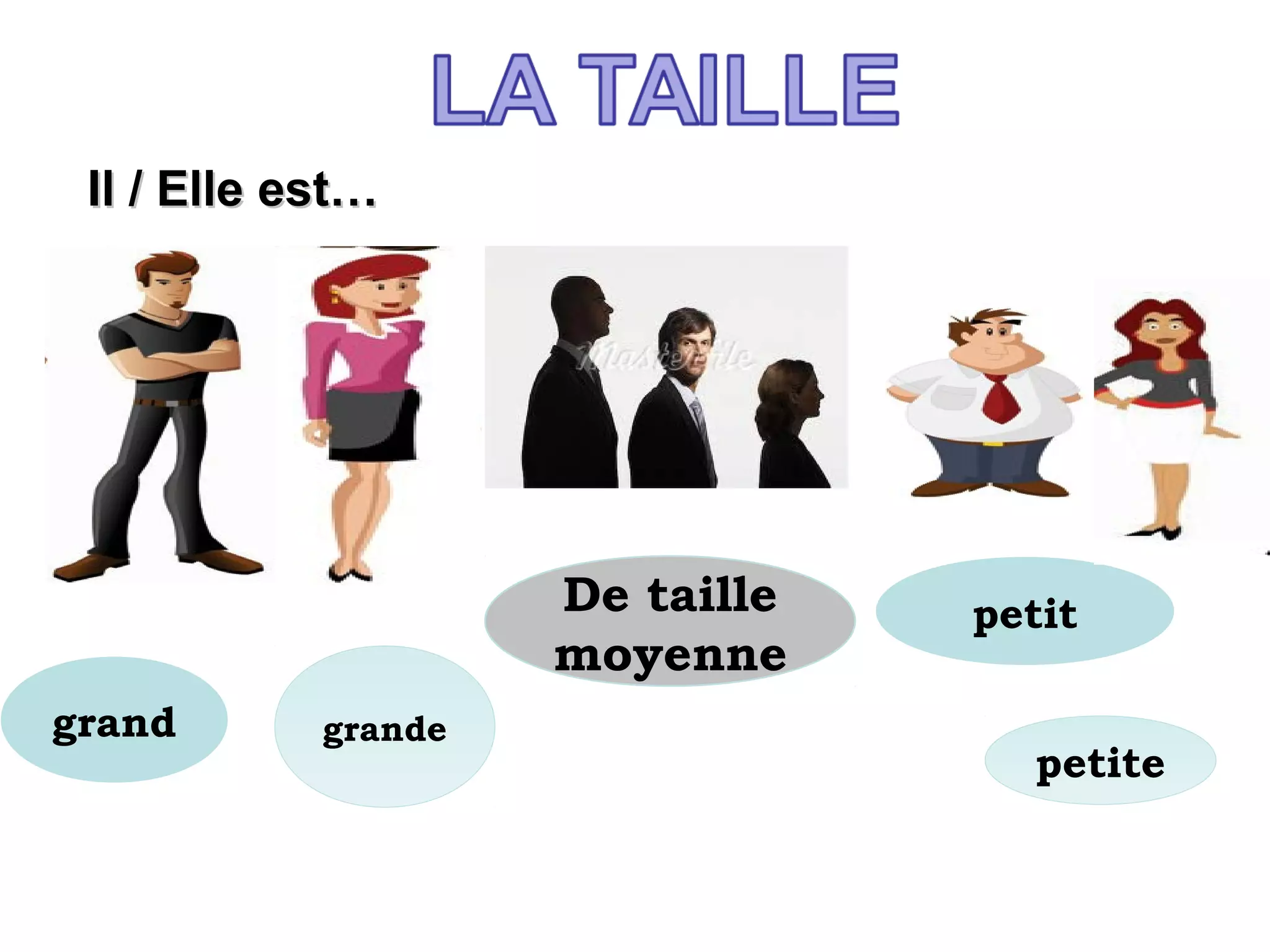 petit
grande
Il / Elle est…Il / Elle est…
petite
grand
De taille
moyenne