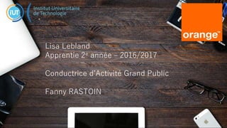 1 Interne Orange
Lisa Lebland
Apprentie 2e année – 2016/2017
Conductrice d’Activité Grand Public
Fanny RASTOIN
 