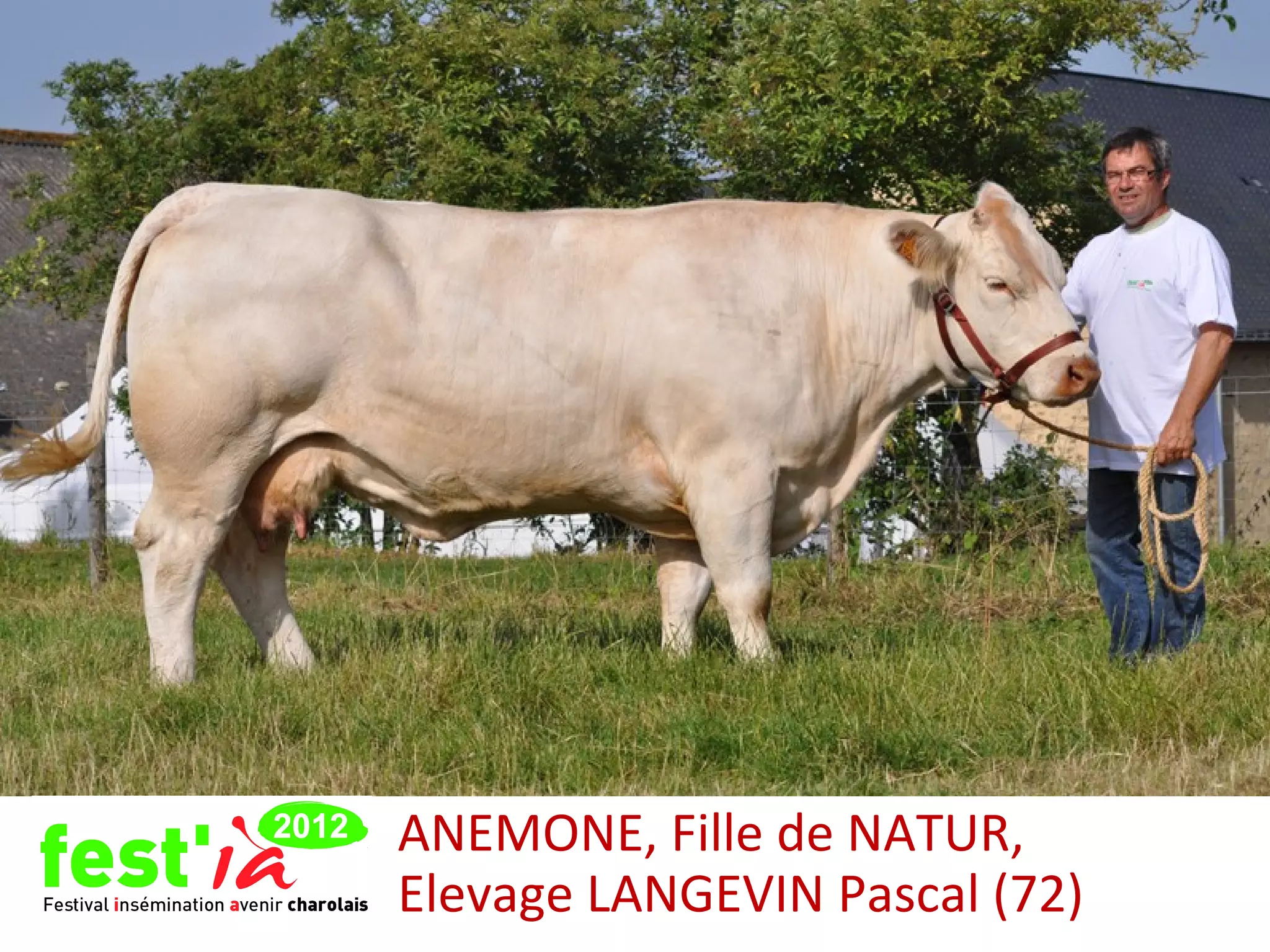 ANEMONE, Fille de NATUR,
Elevage LANGEVIN Pascal (72)
