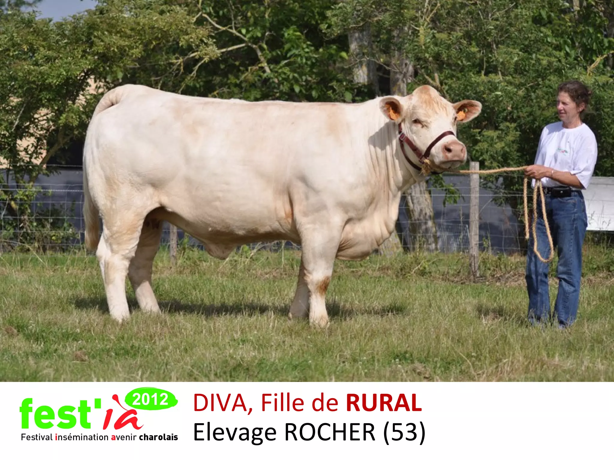 DIVA, Fille de RURAL
Elevage ROCHER (53)