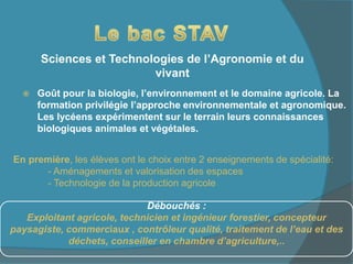  Goût pour la biologie, l’environnement et le domaine agricole. La
formation privilégie l’approche environnementale et agronomique.
Les lycéens expérimentent sur le terrain leurs connaissances
biologiques animales et végétales.
Sciences et Technologies de l’Agronomie et du
vivant
Débouchés :
Exploitant agricole, technicien et ingénieur forestier, concepteur
paysagiste, commerciaux , contrôleur qualité, traitement de l’eau et des
déchets, conseiller en chambre d’agriculture,..
En première, les élèves ont le choix entre 2 enseignements de spécialité:
- Aménagements et valorisation des espaces
- Technologie de la production agricole
 