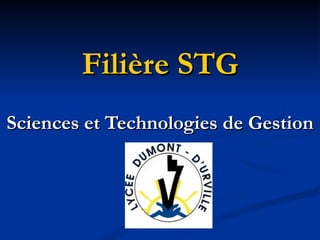 Filière STG Sciences et Technologies de Gestion 