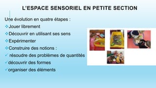 L’ESPACE SENSORIEL EN PETITE SECTION
Une évolution en quatre étapes :
Jouer librement
Découvrir en utilisant ses sens
Expérimenter
Construire des notions :
 résoudre des problèmes de quantités
découvrir des formes
organiser des éléments
 