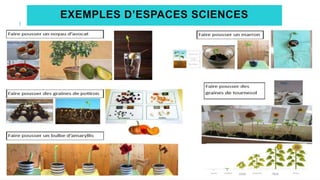 EXEMPLES D’ESPACES SCIENCES
 
