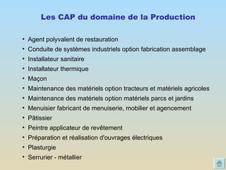 Agent polyvalent de restauration  Conduite de systèmes industriels option fabrication assemblage  Installateur sanitaire  Installateur thermique  Maçon Maintenance des matériels option tracteurs et matériels agricoles  Maintenance des matériels option matériels parcs et jardins  Menuisier fabricant de menuiserie, mobilier et agencement Pâtissier  Peintre applicateur de revêtement  Préparation et réalisation d'ouvrages électriques  Plasturgie Serrurier - métallier  Les CAP du domaine de la Production 