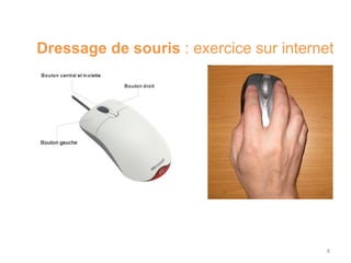 8
Dressage de souris : exercice sur internet
 