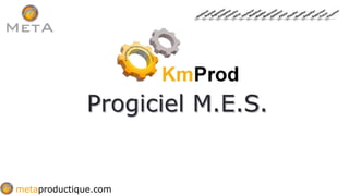 metaproductique.com
Progiciel M.E.S.
 