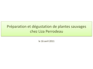 Préparation et dégustation de plantes sauvages chez Liza Perrodeau,[object Object],le 16 avril 2011,[object Object]