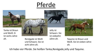 Pferde
Tanka ist Braun
und Weiß. Er
ist sechs Jahre
alt. Renégade ist Weiß
und Schwarz. Sie ist
acht Jahre alt.
Jelly ist
Schwarz. Sie
ist siebzehn
Jahre alt. Taquine ist Braun und
Weiß. Sie ist sieben Jahre
alt.
Ich habe vier Pferde. Sie heißen Tanka,Renégade,Jelly und Taquine.
 