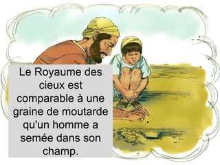 Le Royaume des
cieux est
comparable à une
graine de moutarde
qu'un homme a
semée dans son
champ.
 
