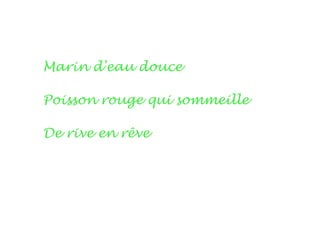 Marin d'eau douce

Poisson rouge qui sommeille

De rive en rêve
 