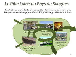 14
Construire un projet de développement territorial autour de la ressource
laine, sur les axes élevage, transformation, t...