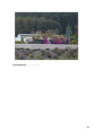 Commentaire par : ………………………..
20
 