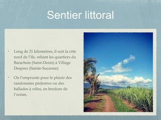 Sentier littoral
Long de 21 kilomètres, il suit la côte
nord de l’île, reliant les quartiers du
Barachois (Saint-Denis) à Village
Desprez (Sainte-Suzanne)
On l’emprunte pour le plaisir des
randonnées pédestres ou des
ballades à vélos, en bordure de
l’océan,
 