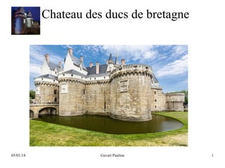 Chateau des ducs de bretagne

05/01/14

Gavart Pauline

1

 