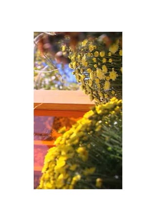 Diaporama toussaint limoges