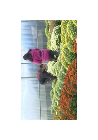 Diaporama toussaint limoges